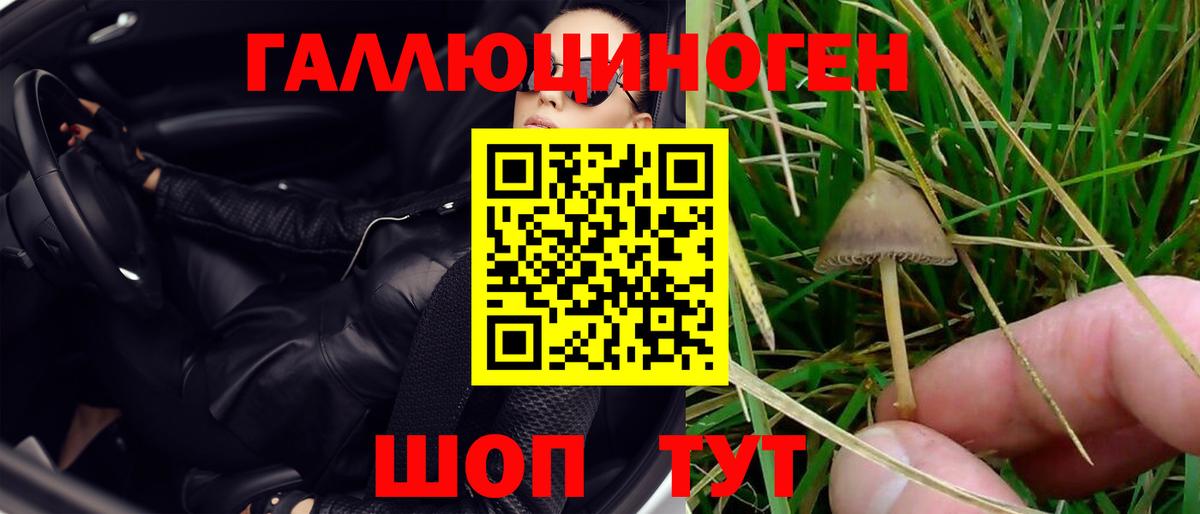 Муравленко  Псилоцибиновые грибы прущие грибы  где купить наркоту  Вход с VPN 