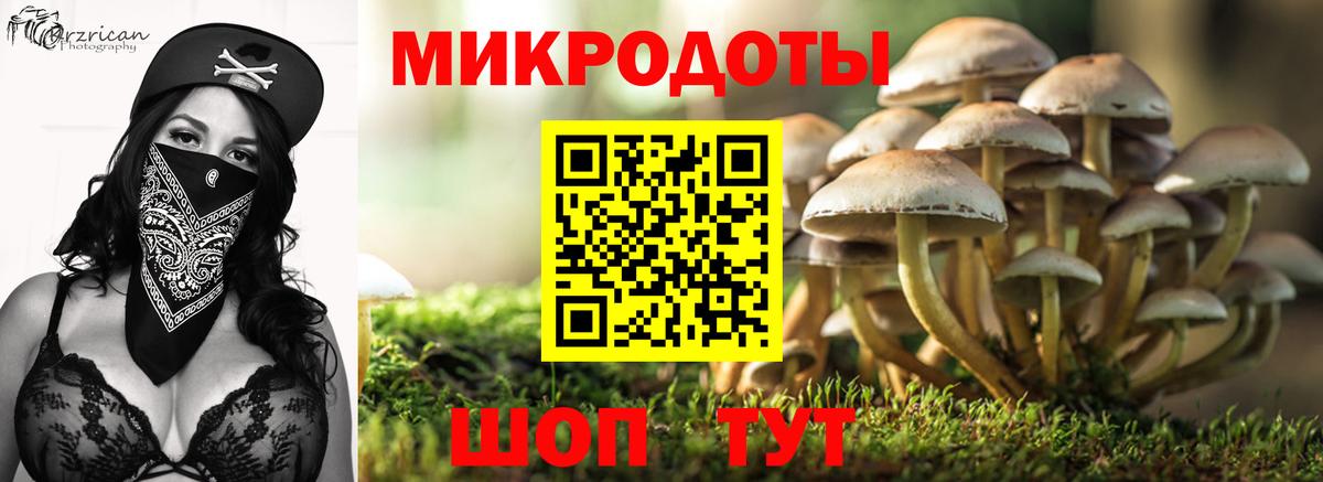 Галлюциногенные грибы ЛСД Муравленко