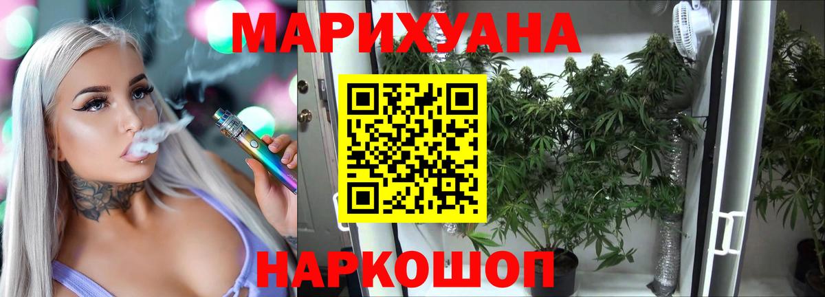 Канабис сатива  Вход с VPN  Муравленко  Конопля индика 